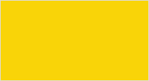 L/YELLOW – C220