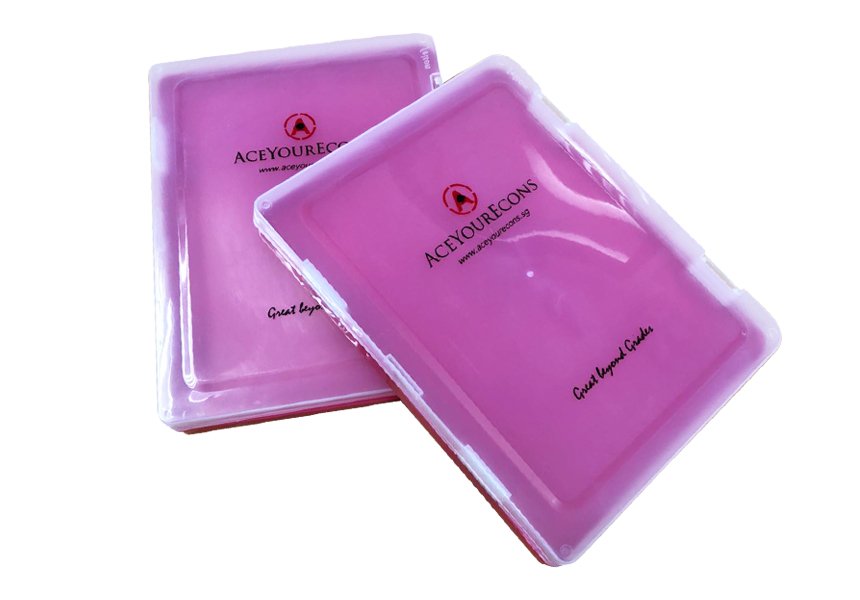 Document Case