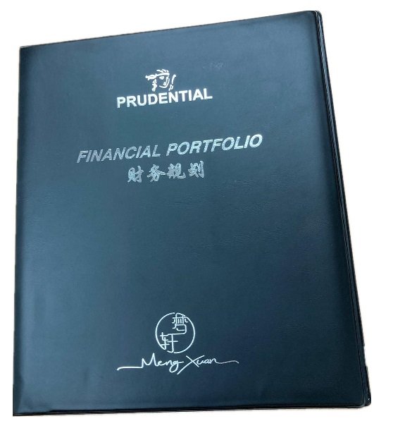 Financial Portfolio Holder 7